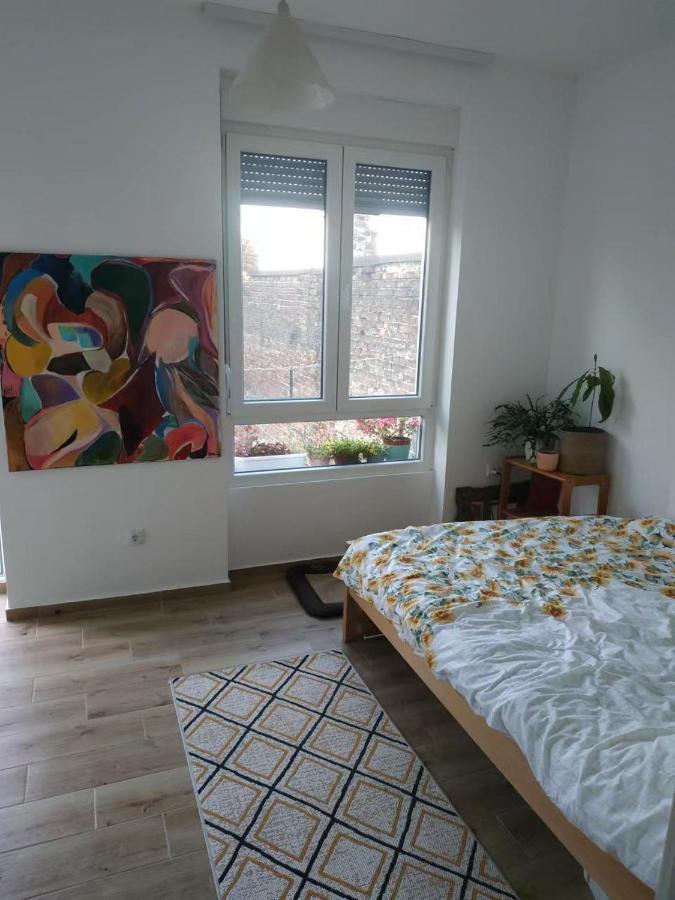 בלגרד Apartment Hermes מראה חיצוני תמונה