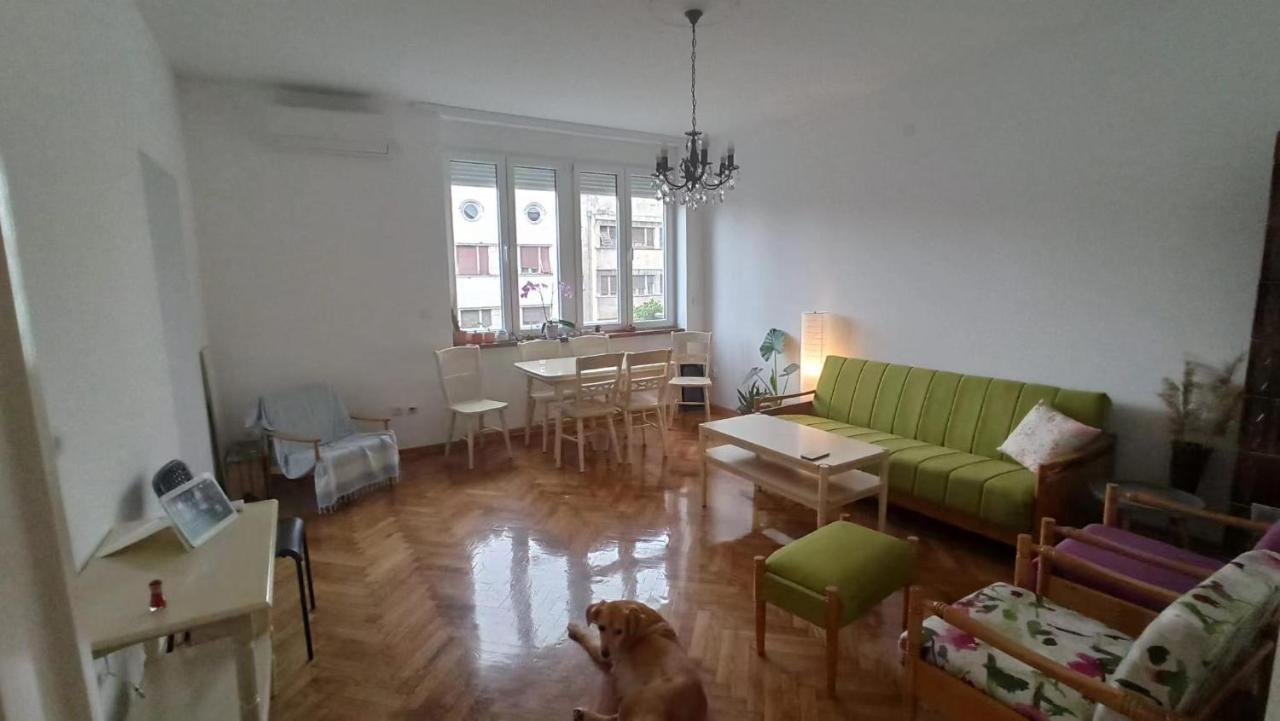 בלגרד Apartment Hermes מראה חיצוני תמונה